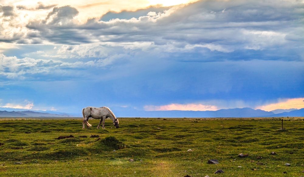 Фотография автора Евгений Дядькин