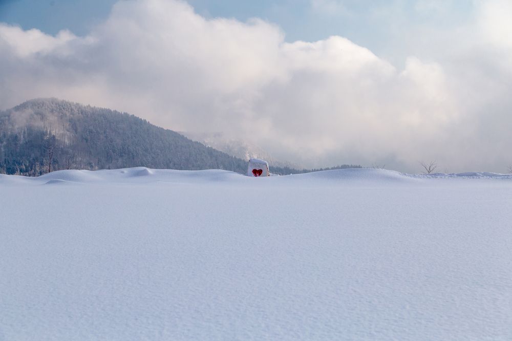 Photograph by Семенов Александр