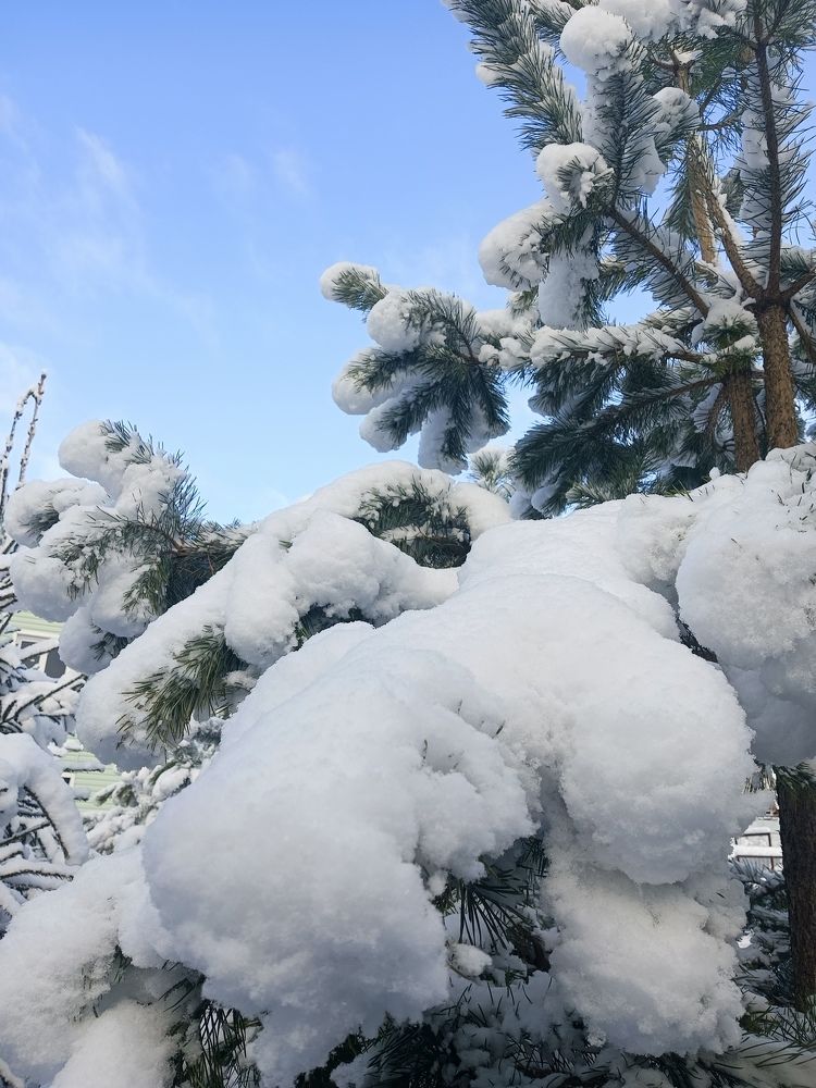 Photograph by Олеся Жакова