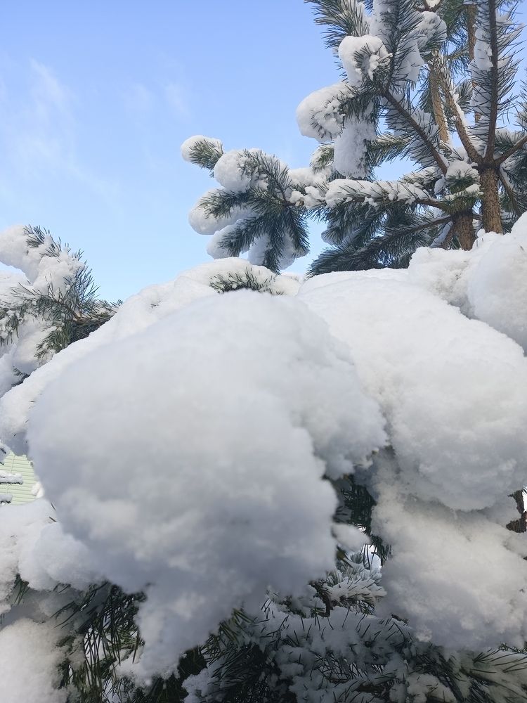 Photograph by Олеся Жакова