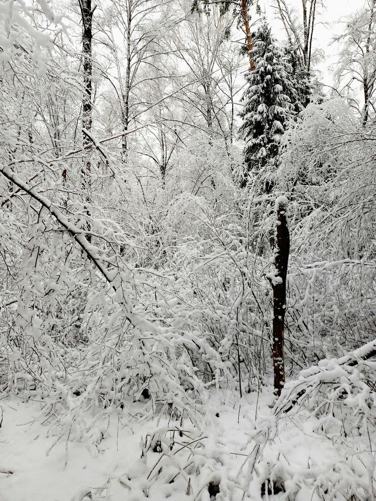 Photograph by Яна