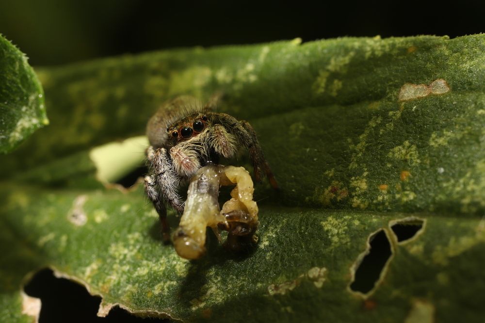 Photograph by Se Lena