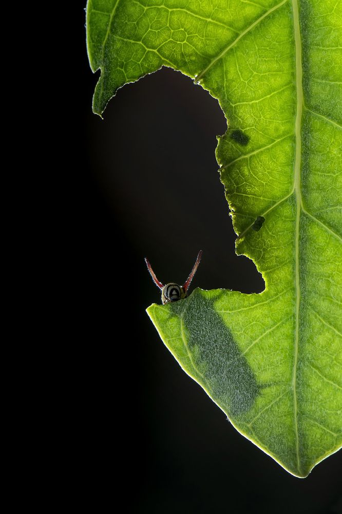 Photograph by Benjamine Dharashan