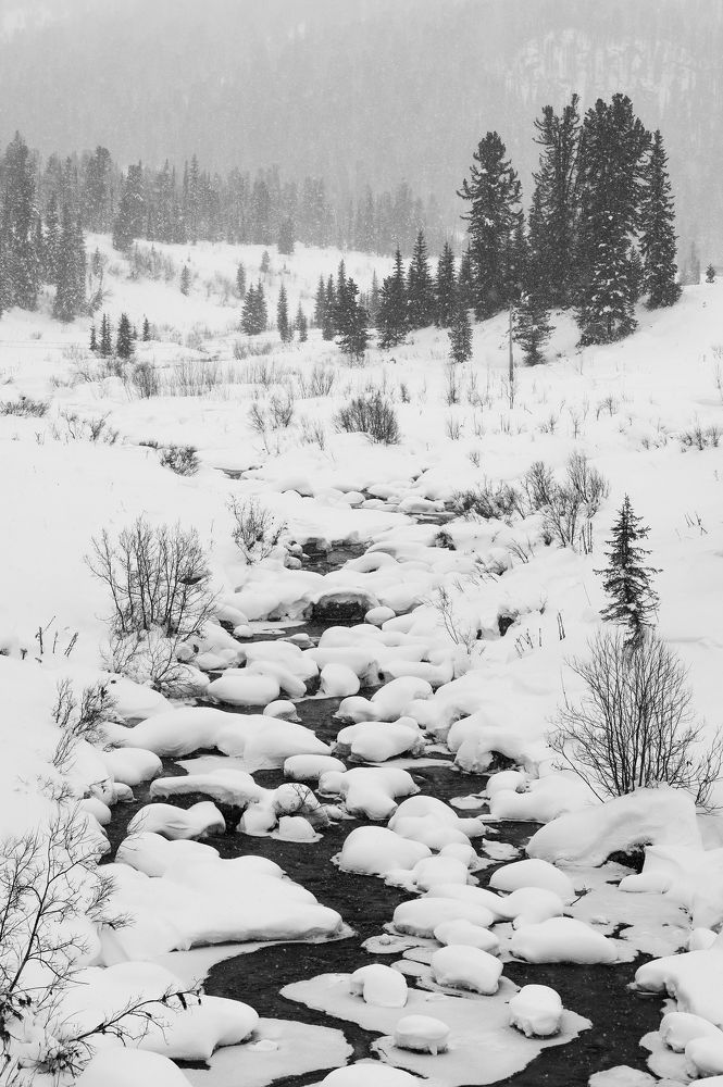 Photograph by Светлана Андреева