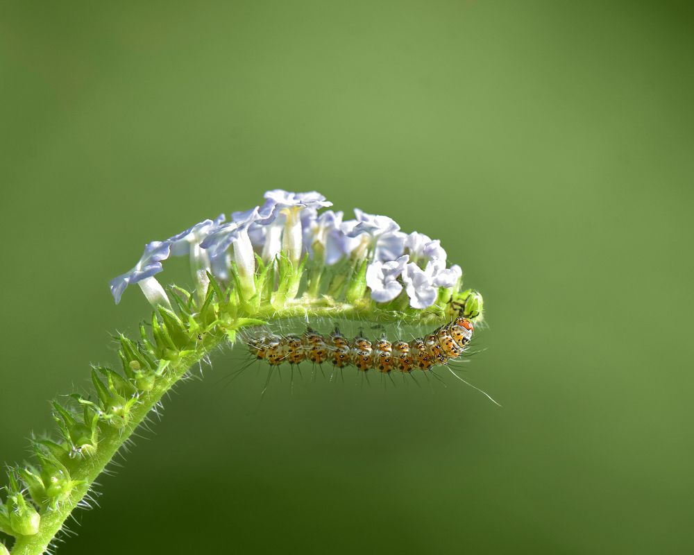 Photograph by Benjamine Dharashan