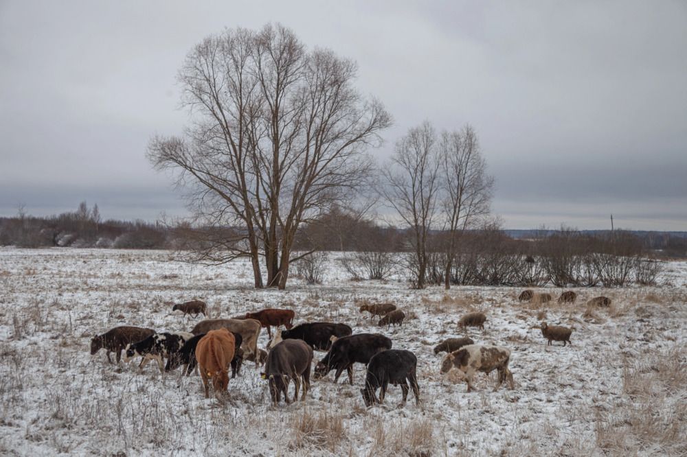 Photograph by Fedorov Denis