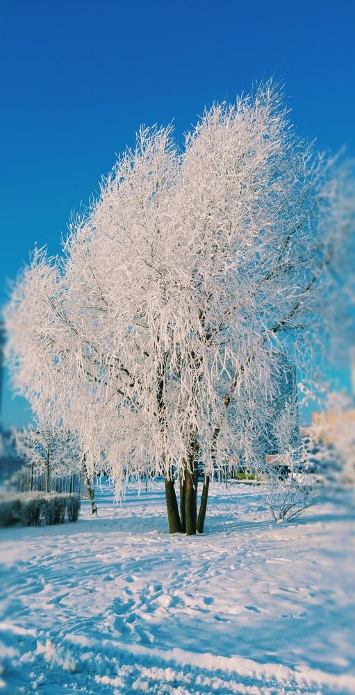 Photograph by Мария