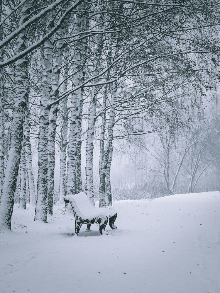 Photograph by Максим Кутсар