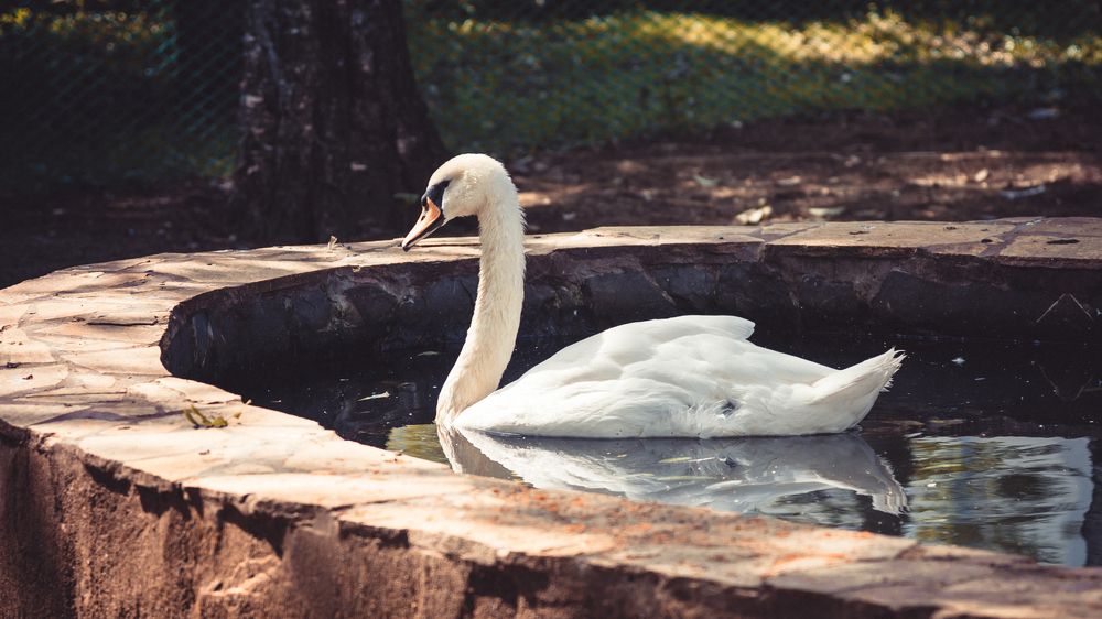 Фотография автора Войнов Дмитрий