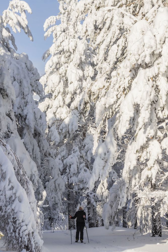 Photograph by Елена Перминова