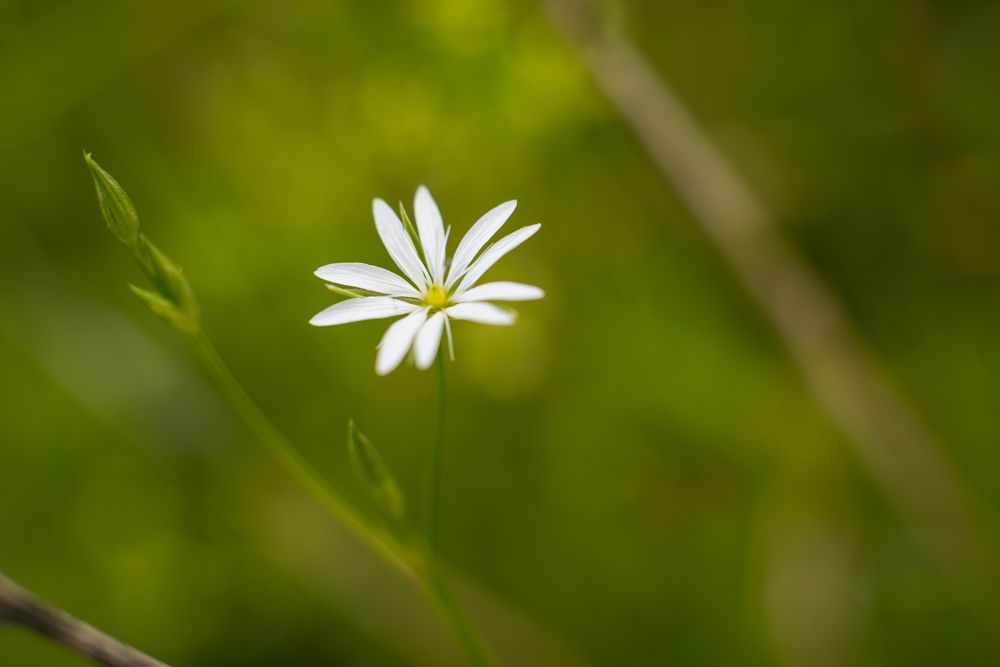 Фотография автора Войнов Дмитрий
