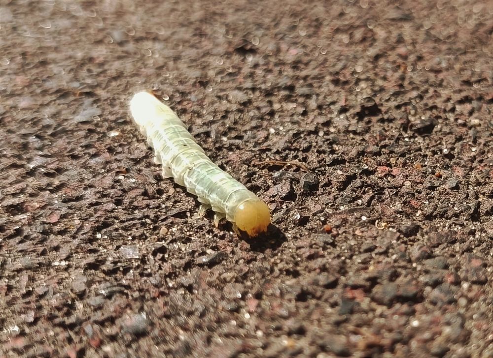 Photograph by Николай Грекалов