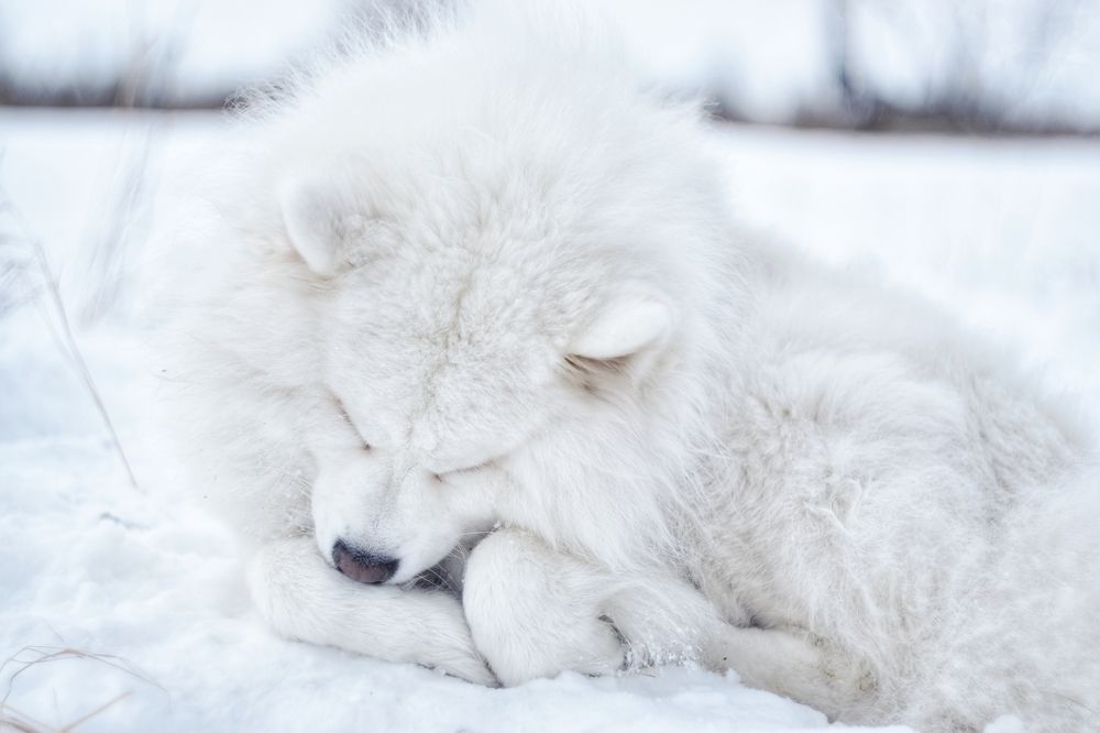 Фотография автора Анастасия Руднева