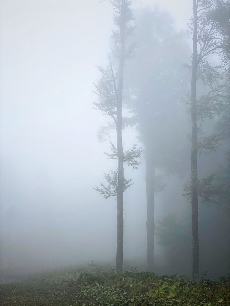 Photograph by Мозжухин Максим