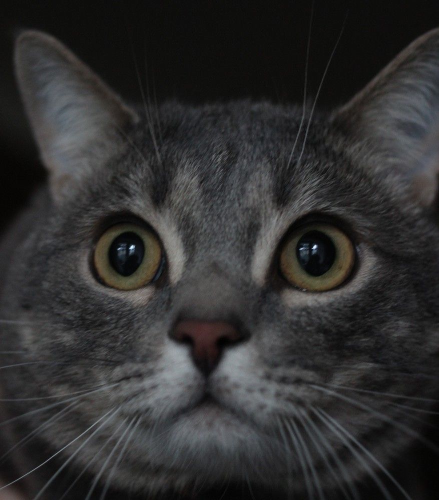 Photograph by Наталья Рыкова