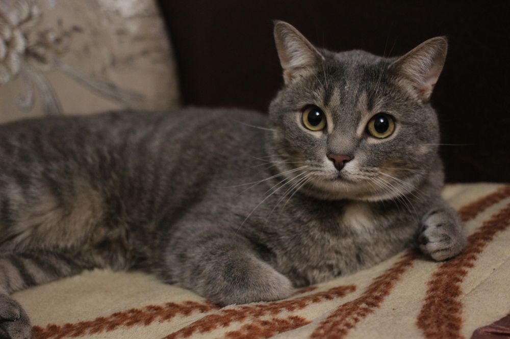 Photograph by Наталья Рыкова