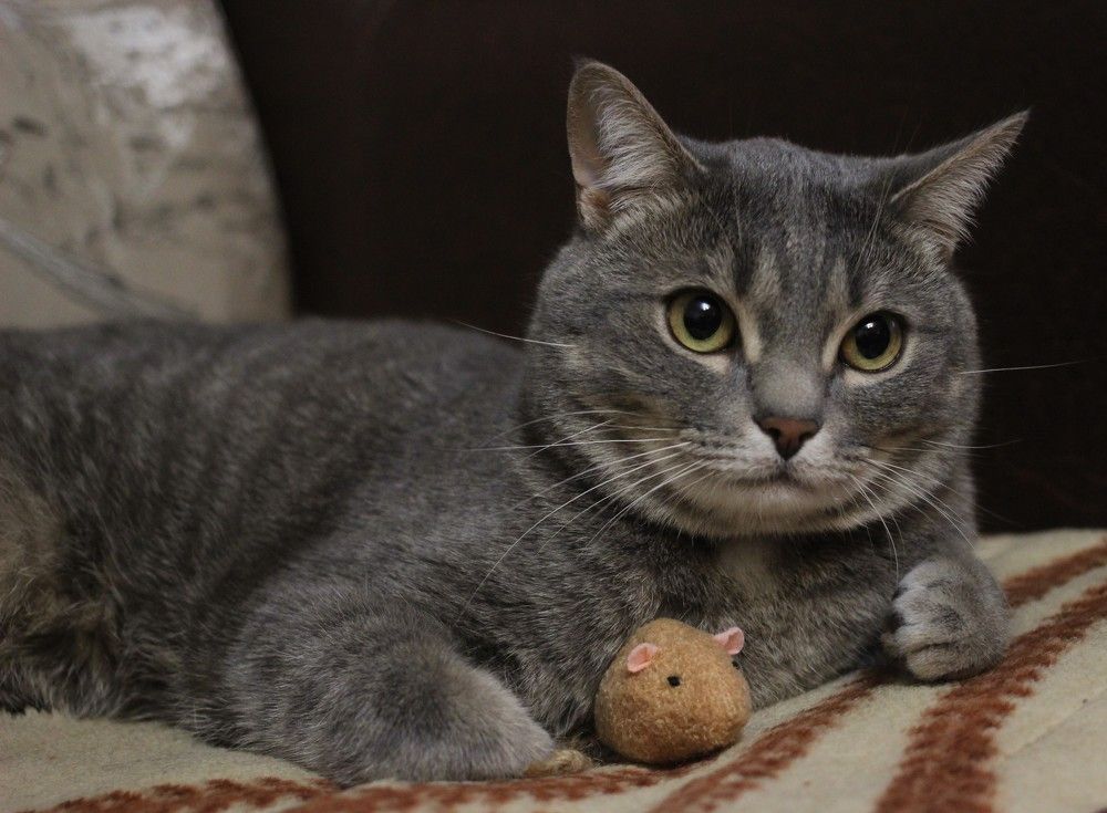 Photograph by Наталья Рыкова