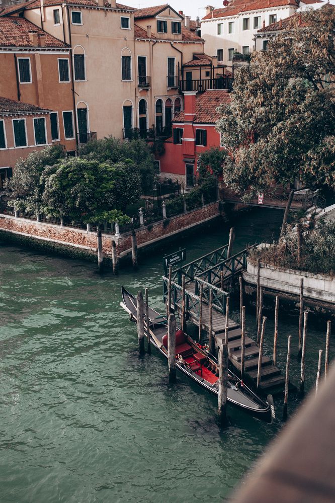 Photograph by Мария Корвин-Кучинская