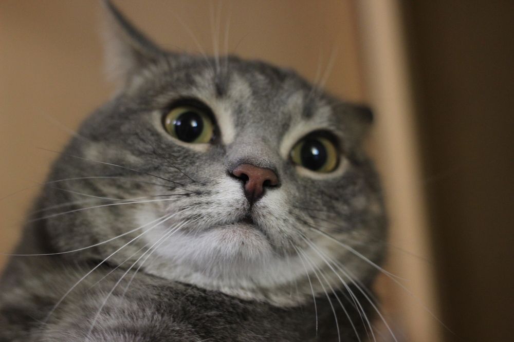 Photograph by Наталья Рыкова