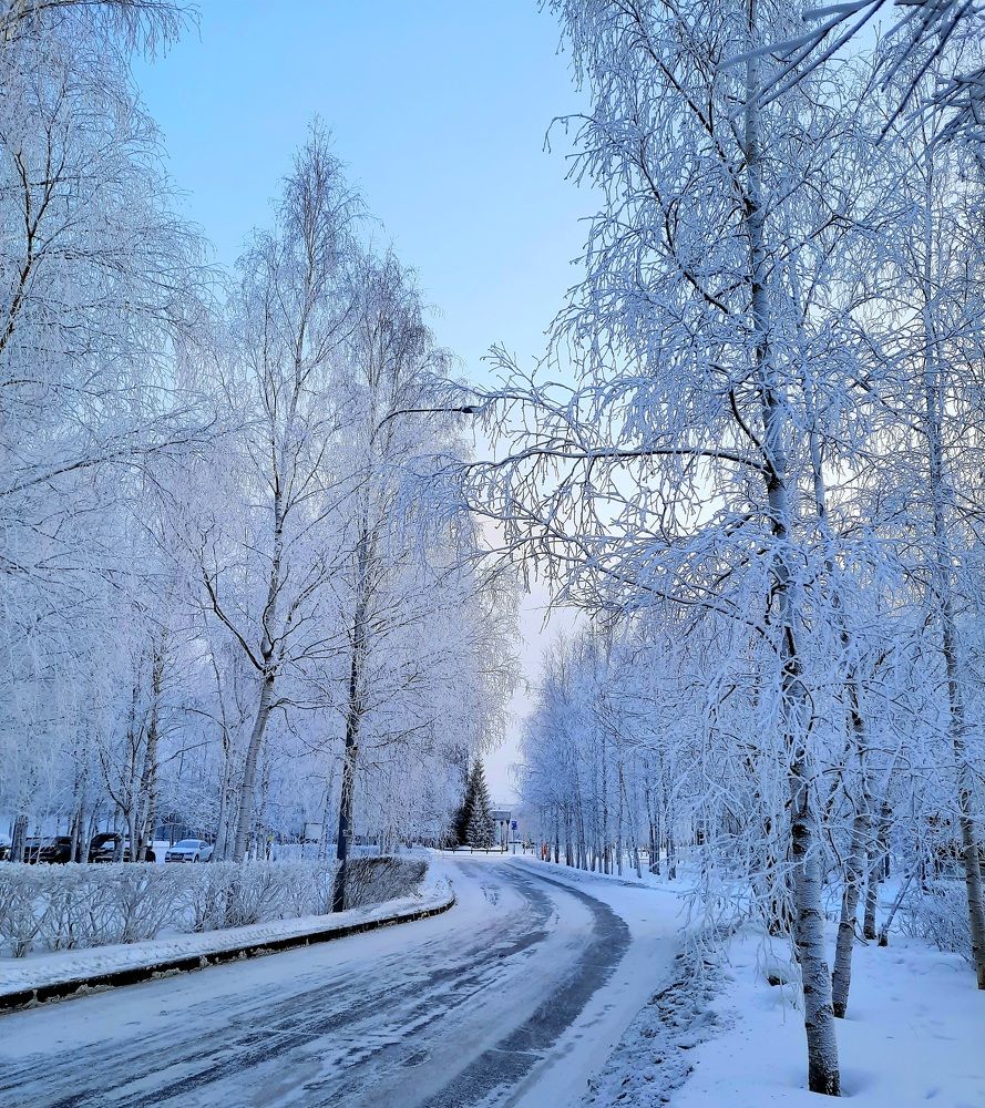 Photograph by Людмила Е.