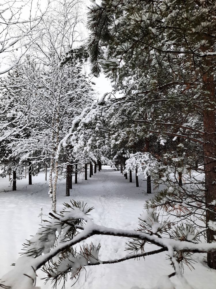 Photograph by Людмила Е.