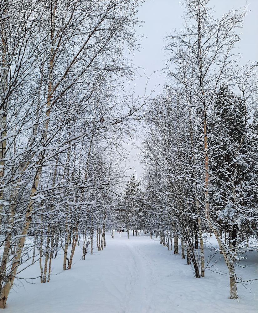 Photograph by Людмила Е.