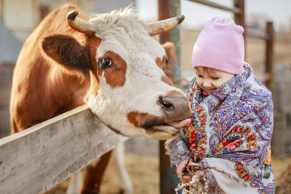 Первое знакомство.