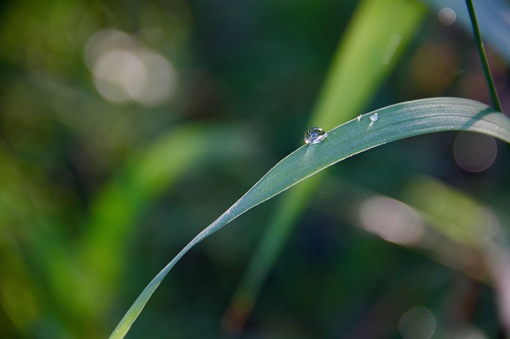 Photograph by Елена Шелуханова