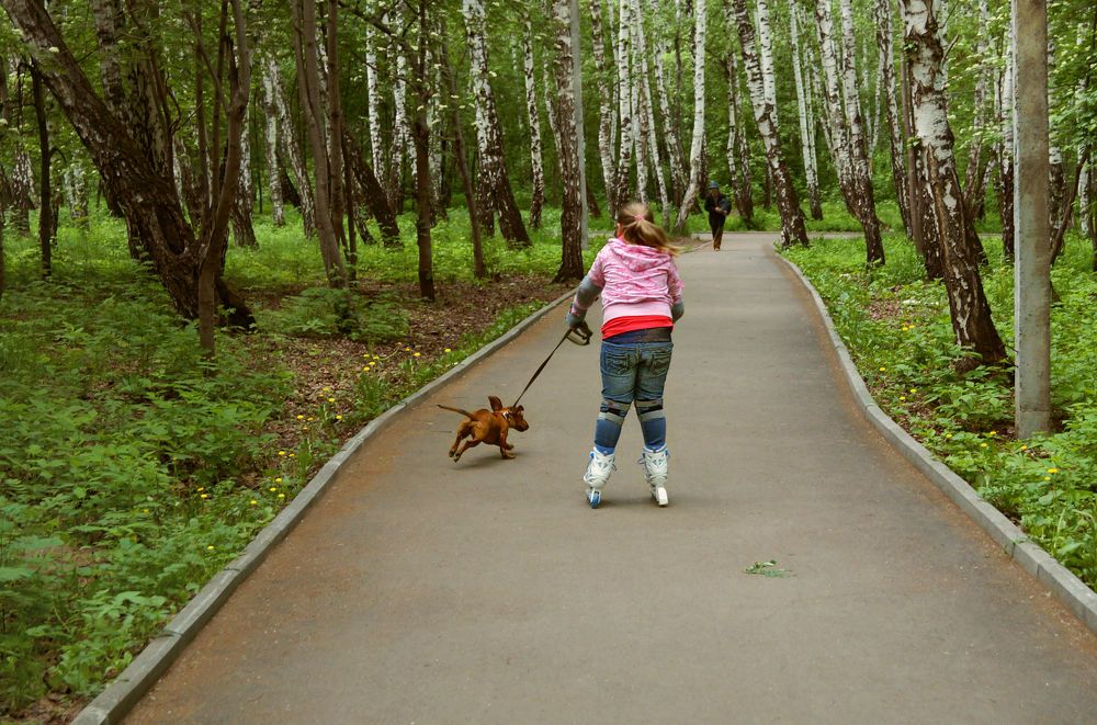Photograph by Татьяна Мишустина