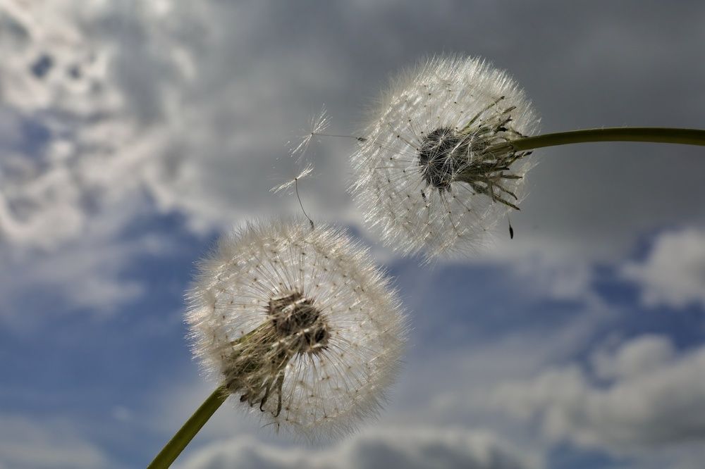 Photograph by Наталья Адалинская