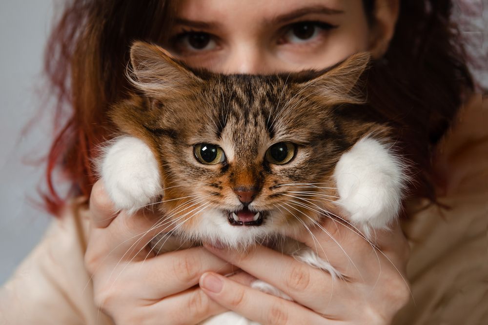 Photograph by Людмила Новосёлова