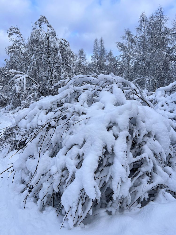 Photograph by Юлия Отставнова