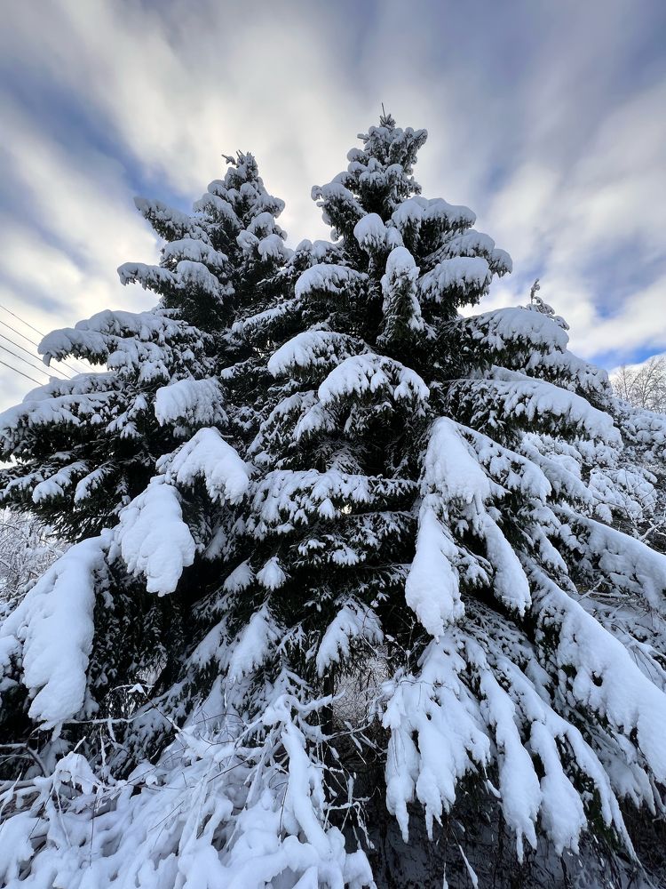 Photograph by Юлия Отставнова