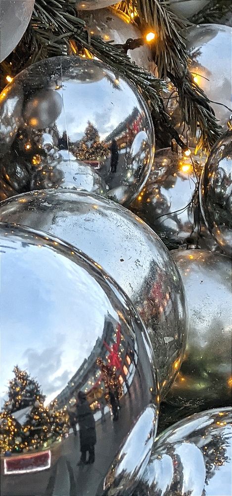 Фотография автора Васильева Ирина