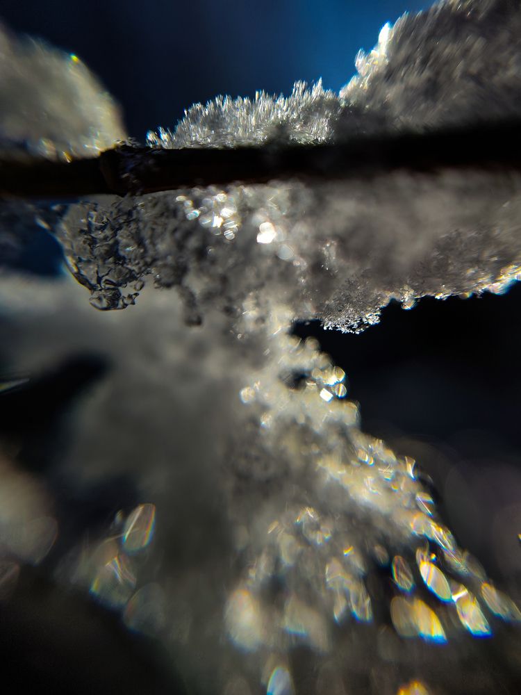 Фотография автора Светлана