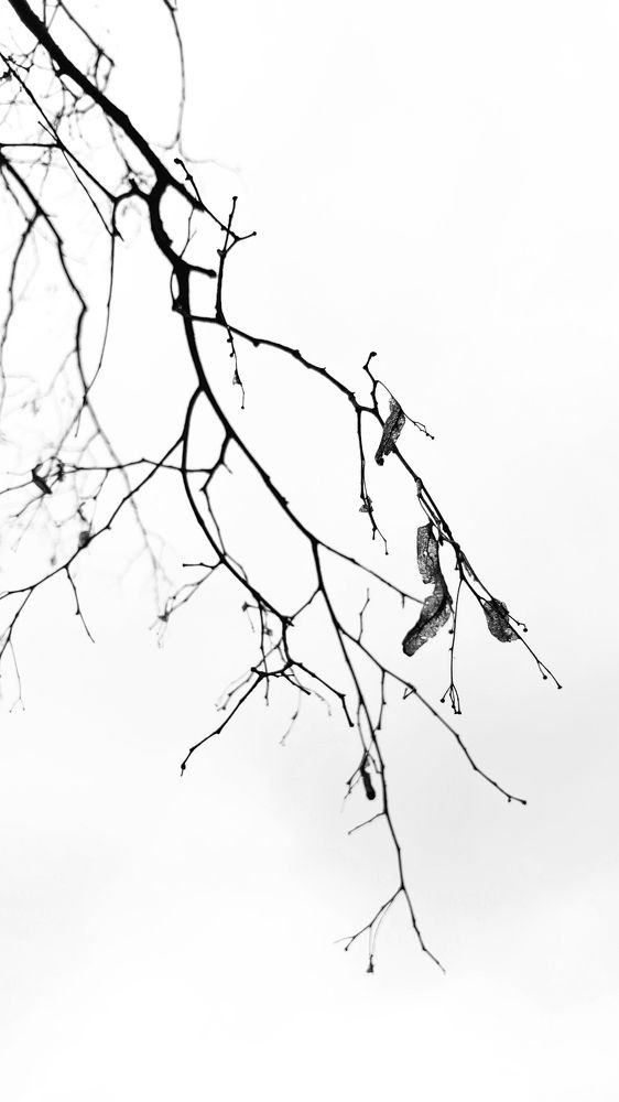 Photograph by Оксана Корепанова