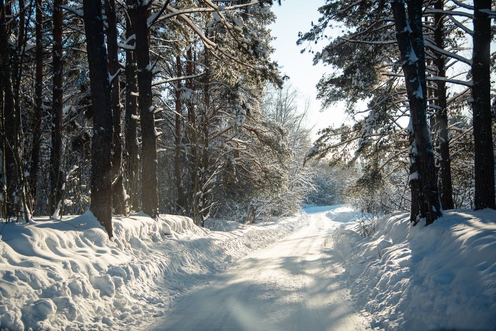 Фотография автора Войнов Дмитрий