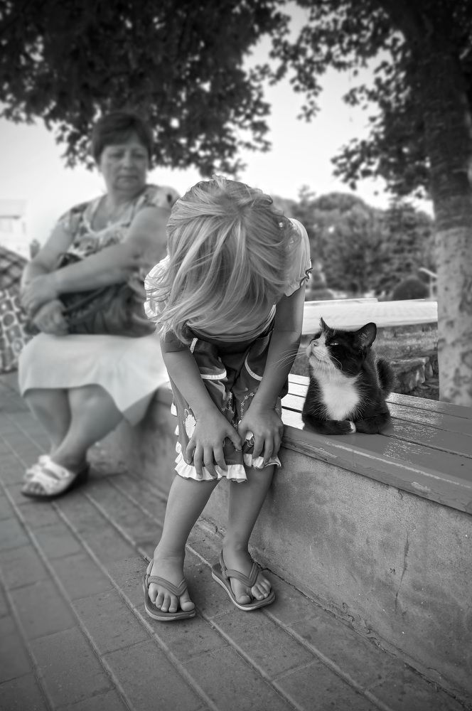 Photograph by Мишустина Татьяна