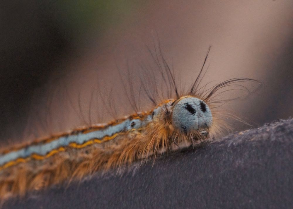 Photograph by LYUDMYLA POKRYSHEN