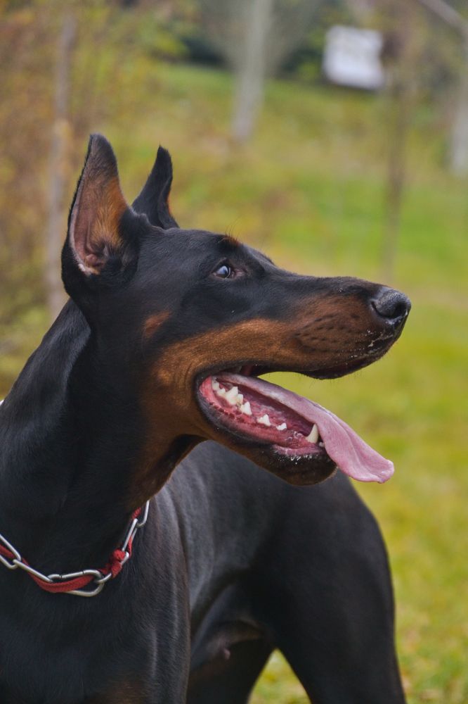 Photograph by Дарья Сычева