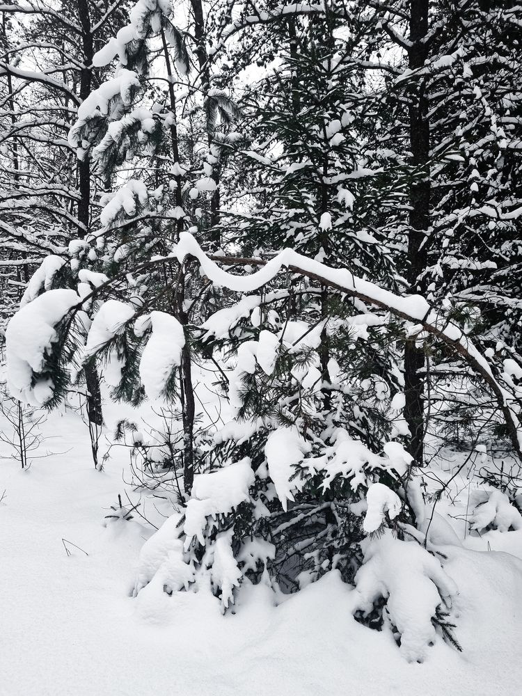 Photograph by Татьяна Гуцанович