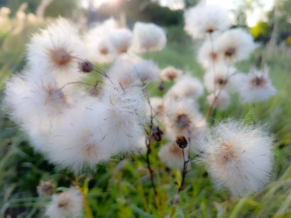 Photograph by Кондрашова Светлана