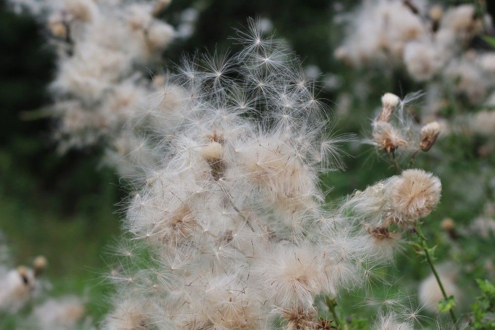 Photograph by Наталья Резванова