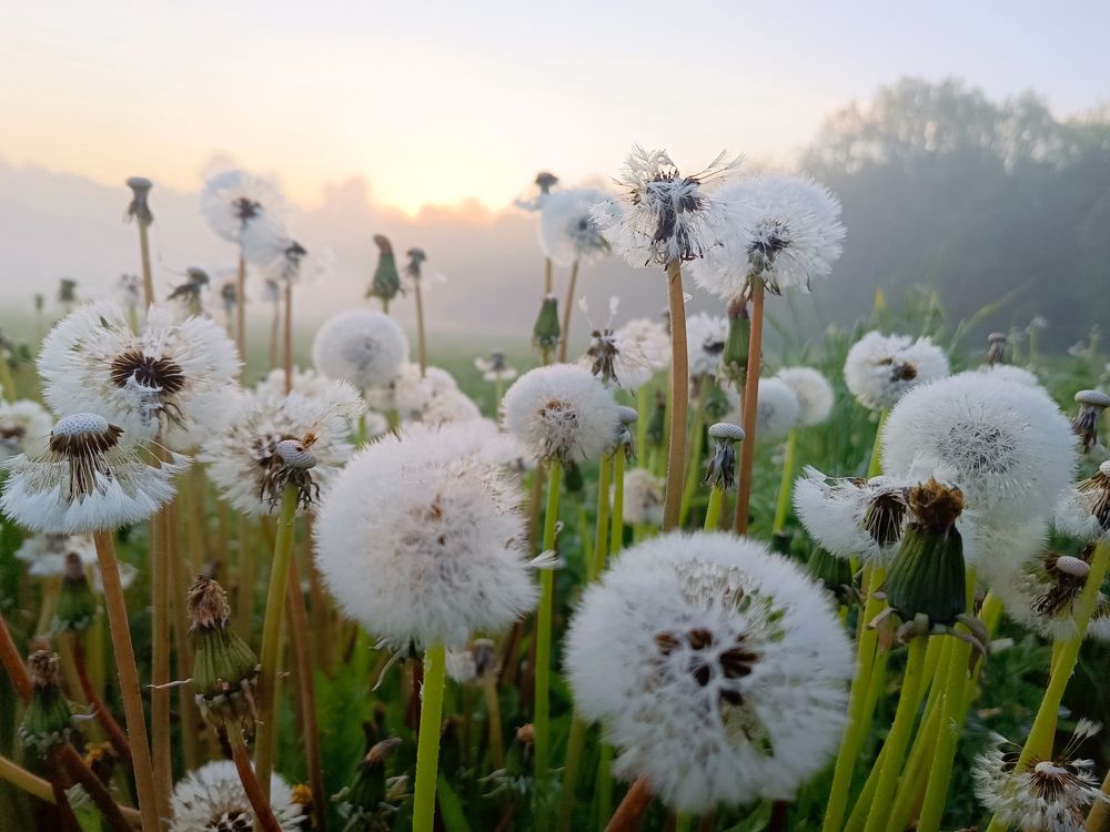 Photograph by Кондрашова Светлана