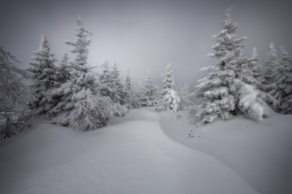 Photograph by Михаил Карпов