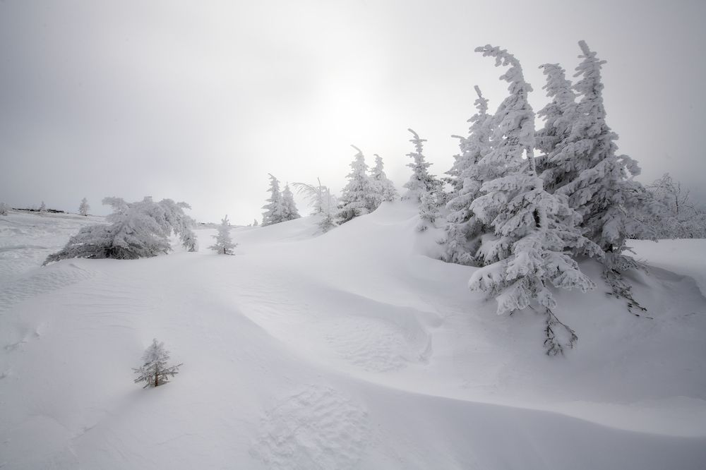 Photograph by Михаил Карпов