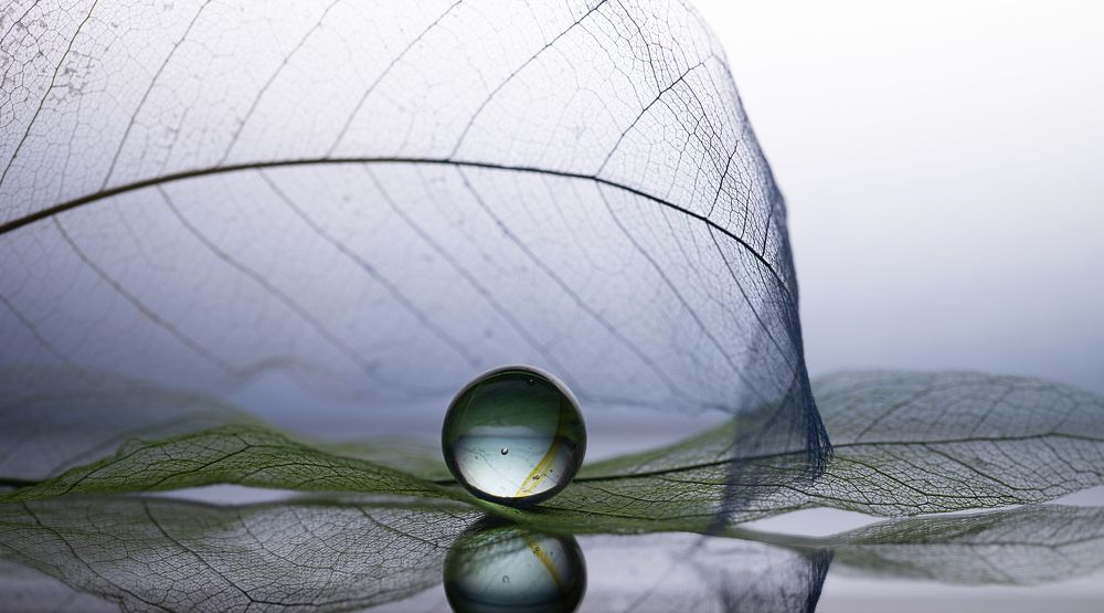 Фотография автора Обидина Мария