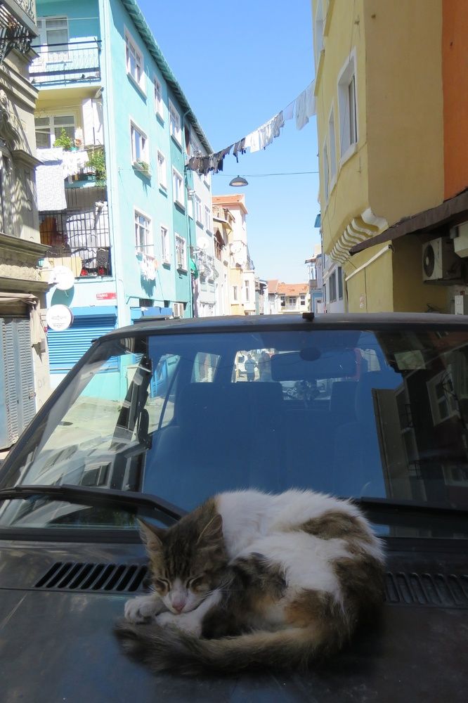 Photograph by Валерия Яскович