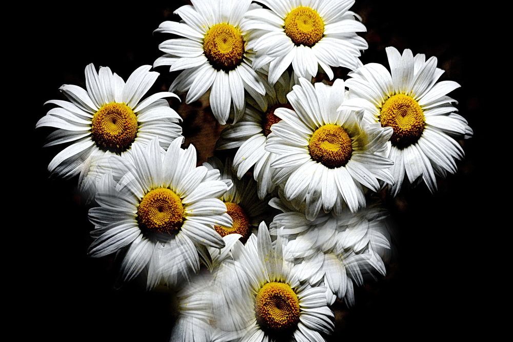 Photograph by Вадим Гераскин