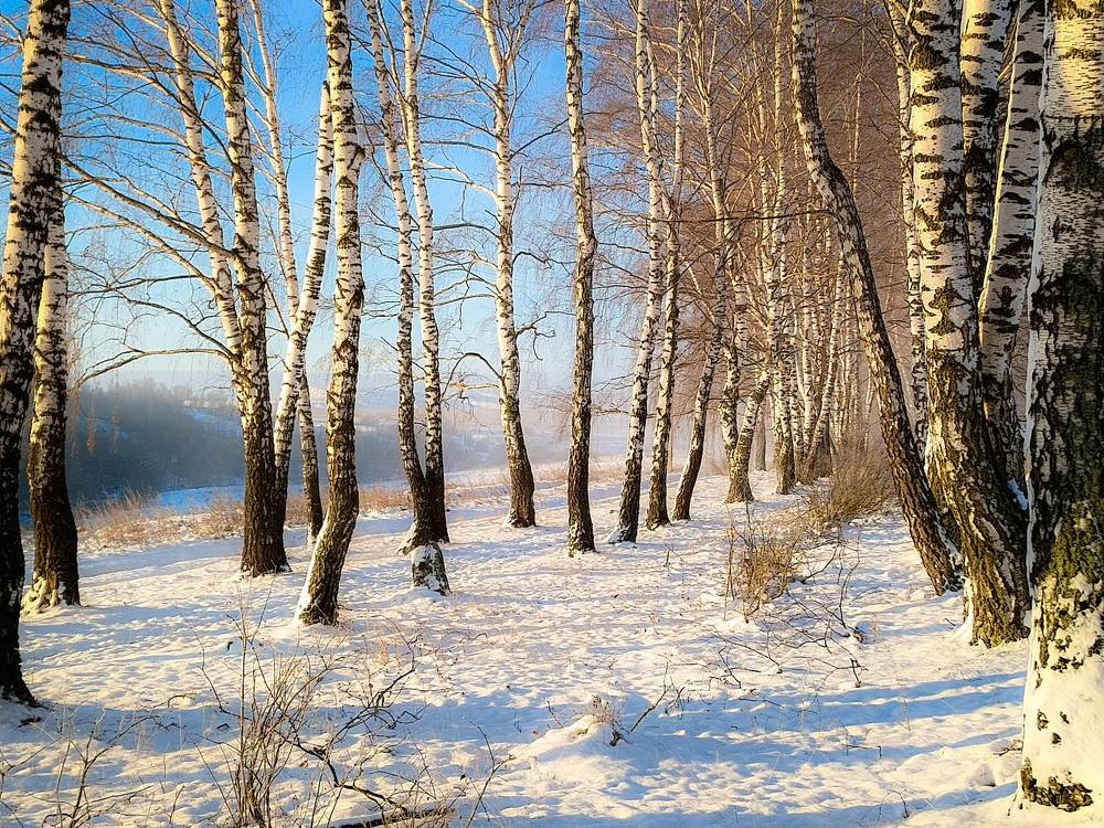 Photograph by Кондрашова Светлана